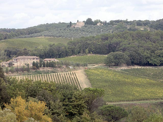 Poggio Bonelli - Chianti Classico DOCG 2017