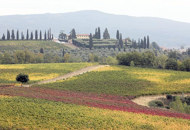 Poggio Bonelli - Chianti Classico DOCG 2017