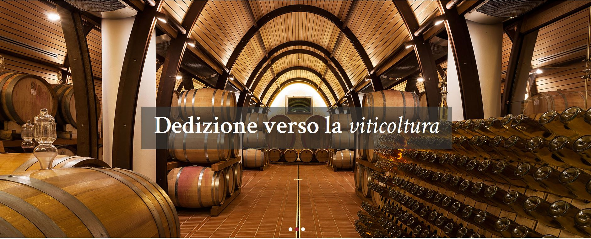 Le Monde - Sauvignon DOC