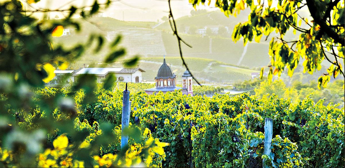 Cozzo Mario - Roero Arneis DOCG Albaspina 