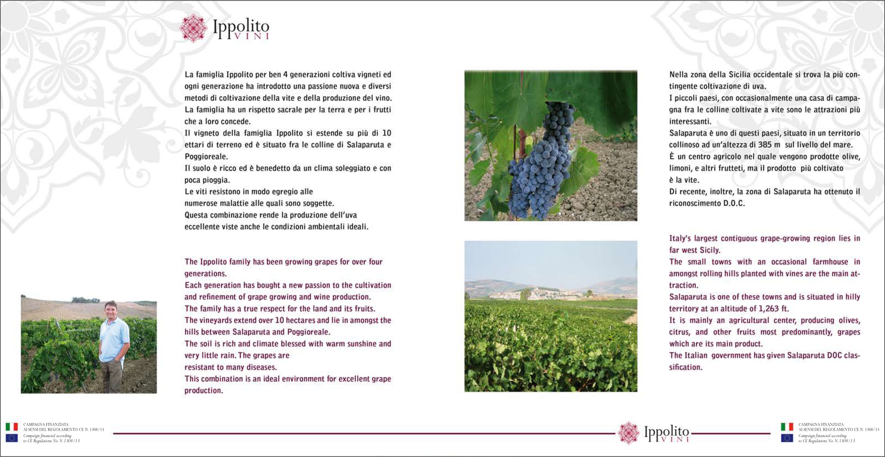 Ippolito - Grillo Sicilia DOC